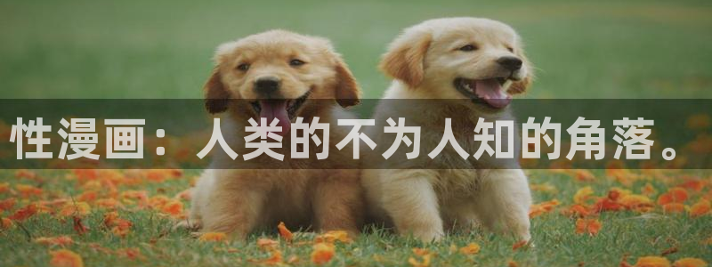 好看的香蕉漫画
