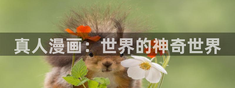 香蕉漫画大全